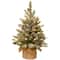 2ft. Snowy Concolor Fir Small Artificial Christmas Tree In Burlap With Snowy Cones, Warm White LED Lights